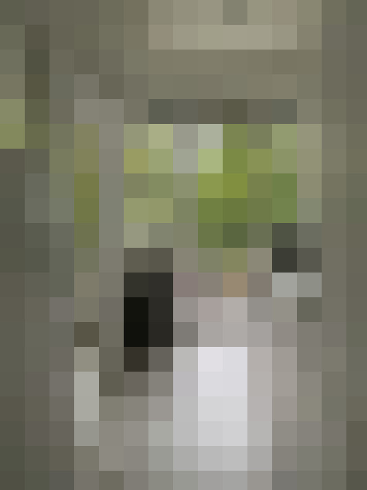  / #11