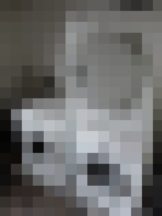 Image 13