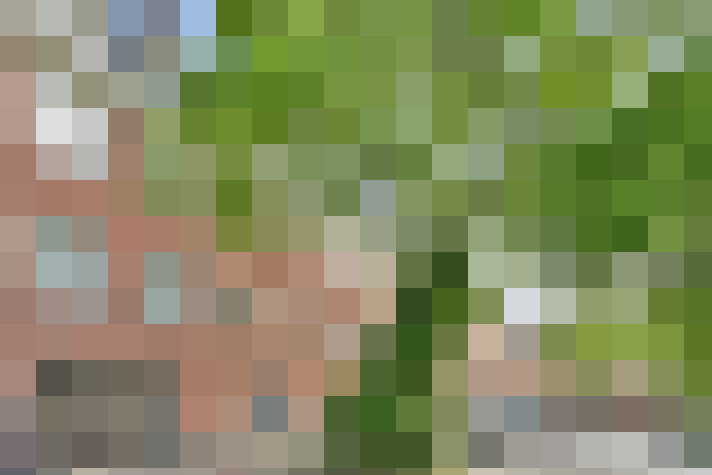  / #16