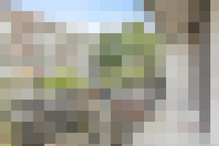  / #14