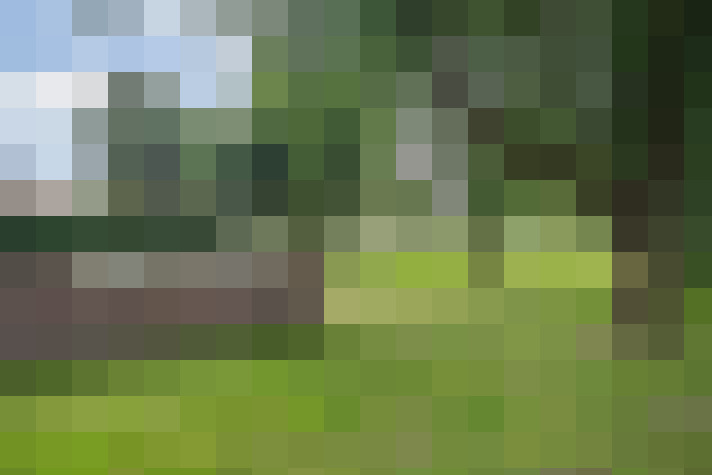 Image 20