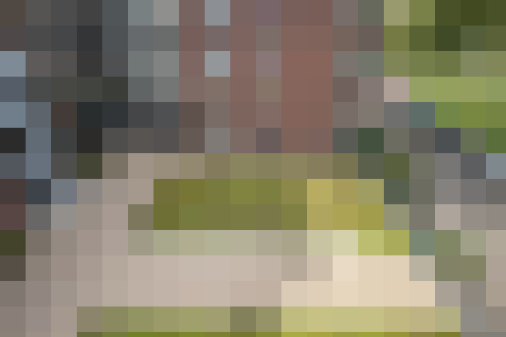 Image 23