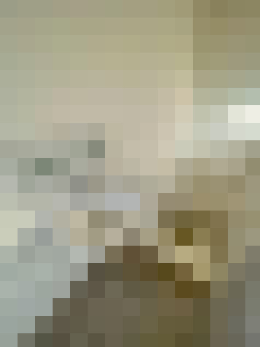 Image 23