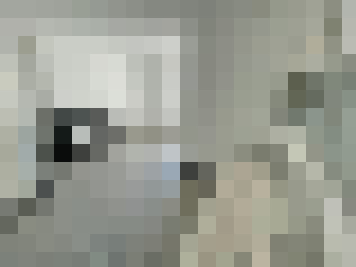 Image 20