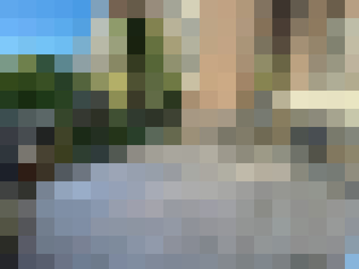 Image 15