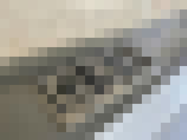 Image 13