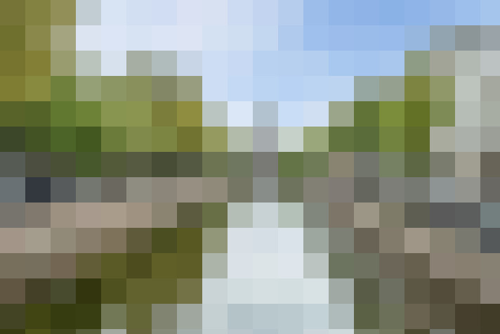 Image 41