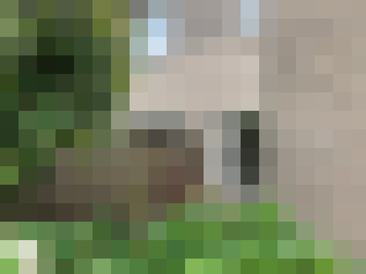Image 23