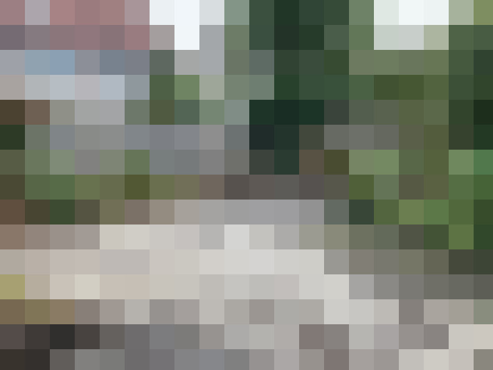 Image 25