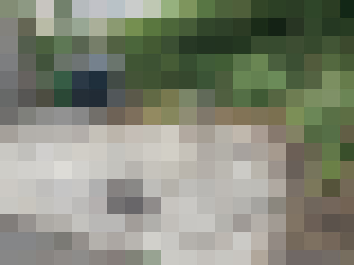 Image 24