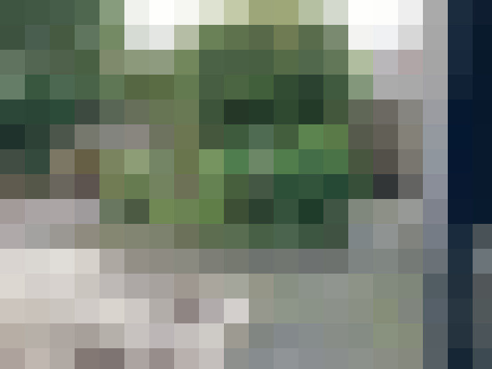 Image 18