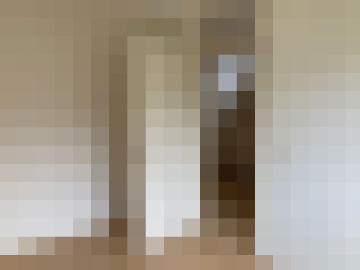 Image 13