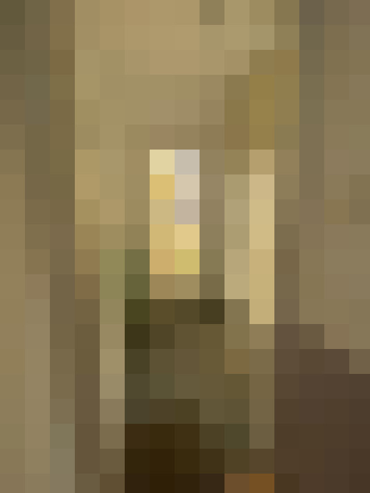  / #19