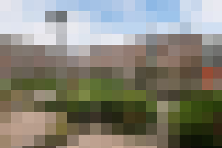 Image 20