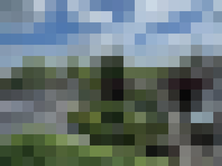  / #14