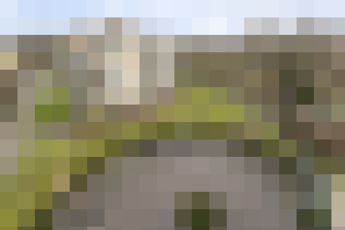 Image 41
