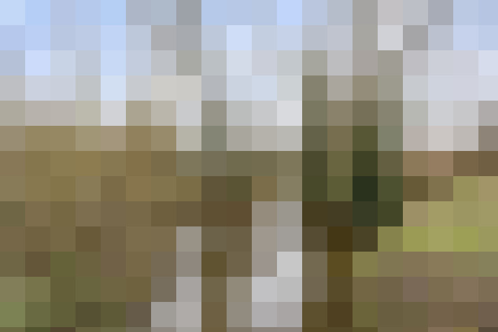 Image 35