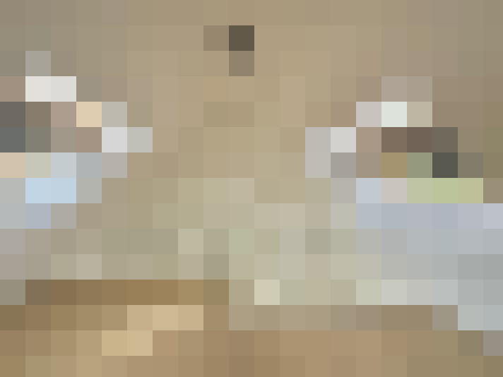  / #17