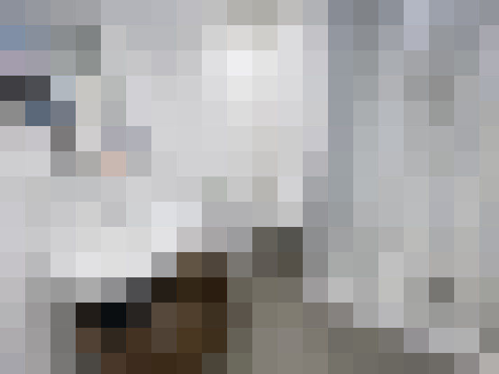  / #15