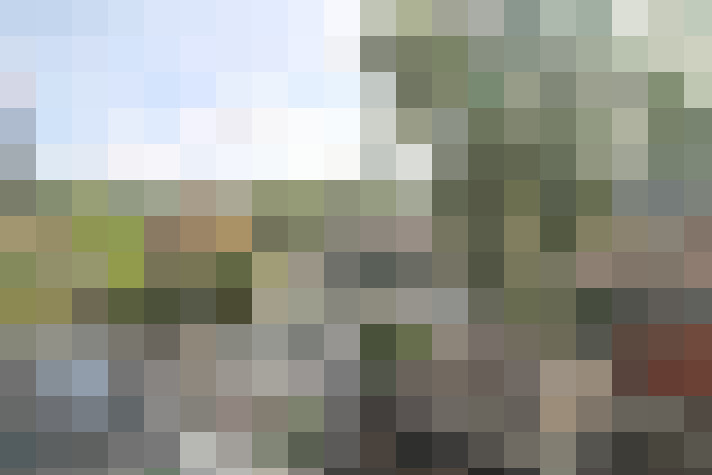 Image 22