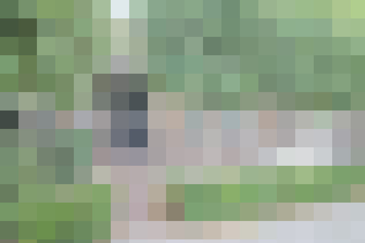Image 31