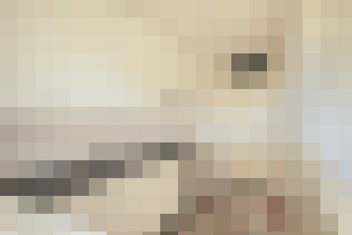  / #16