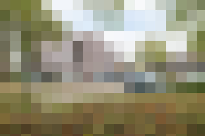  / #29