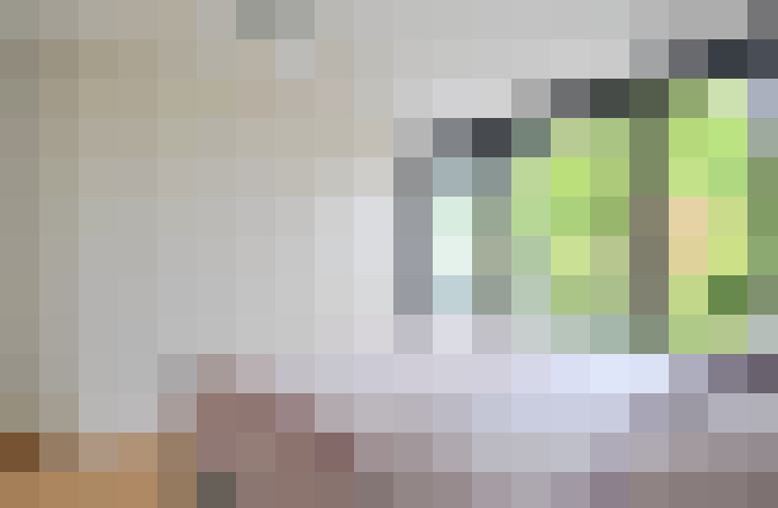  / #33