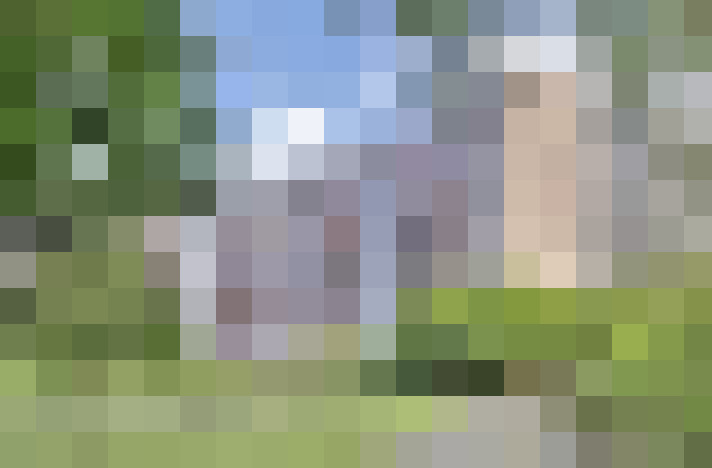  / #59