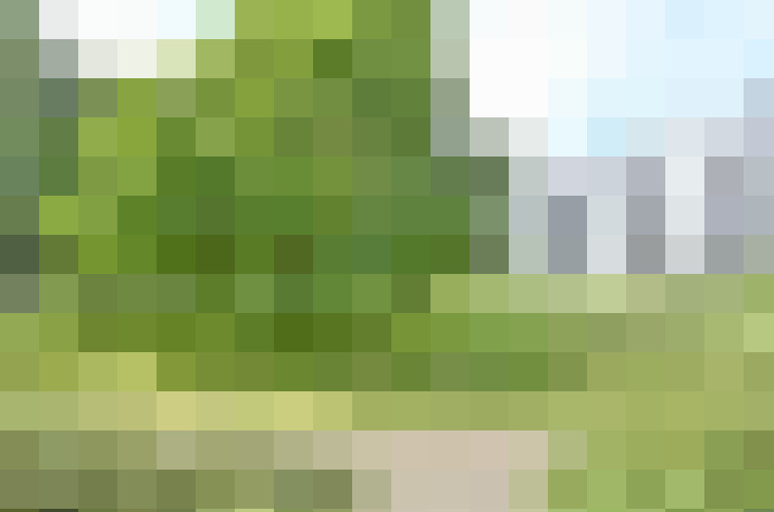  / #17