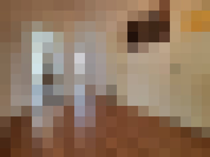  / #13