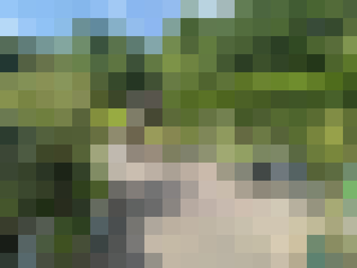 Image 26