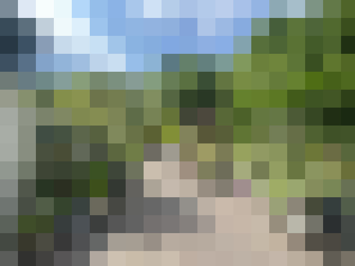 Image 27