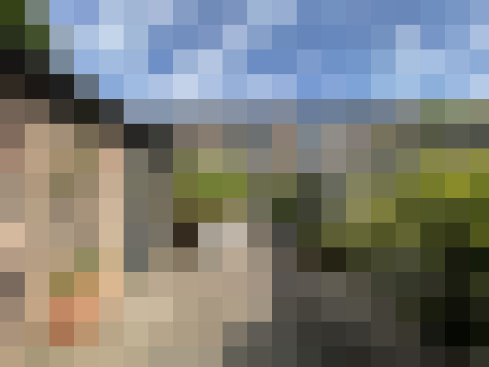 Image 29