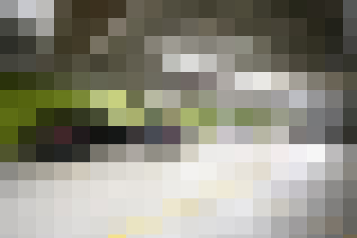 Image 30