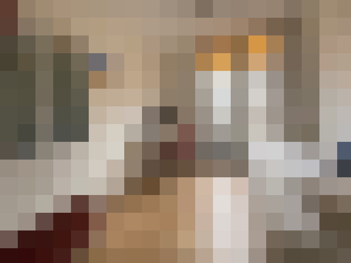Image 20