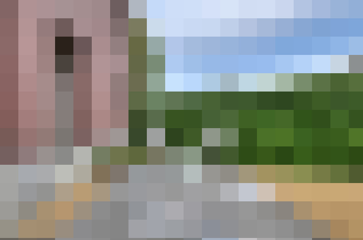 Image 20