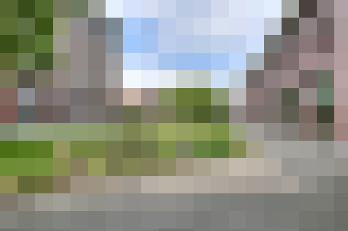 Image 25