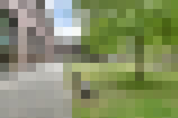 Image 28