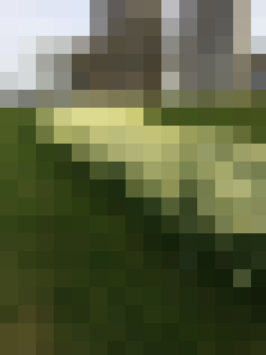 Image 31