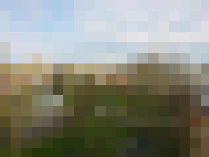 Image 30
