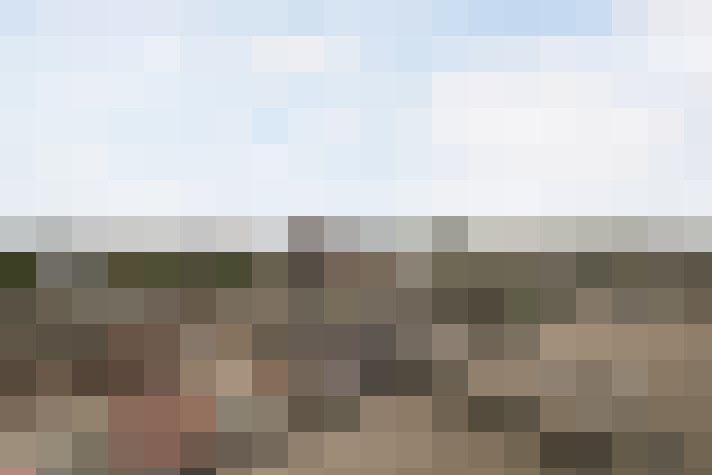  / #17