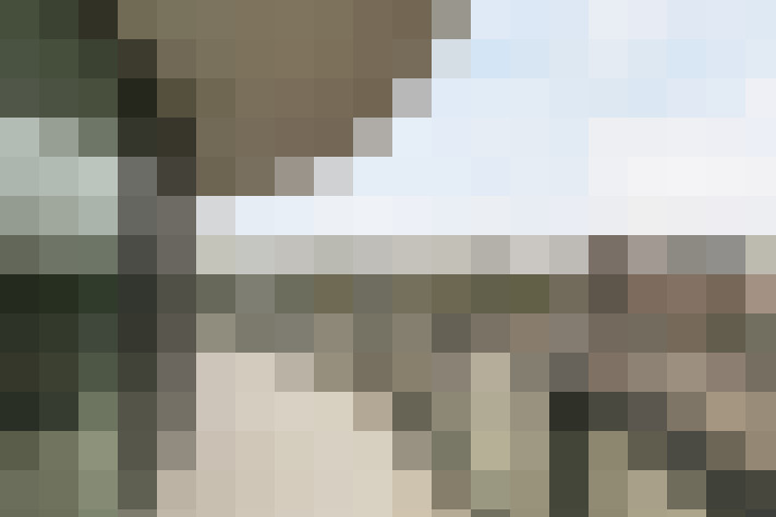  / #15