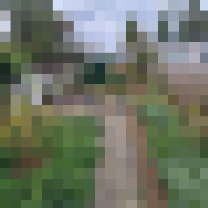 Image 21