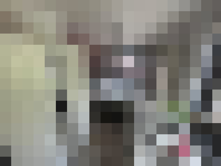  / #14