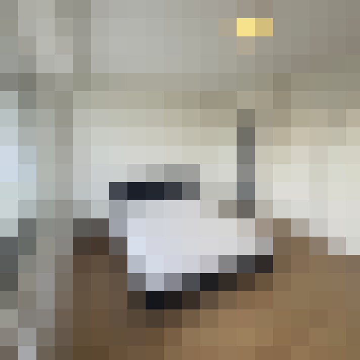 Image 41