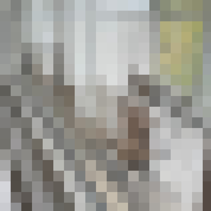 Image 59
