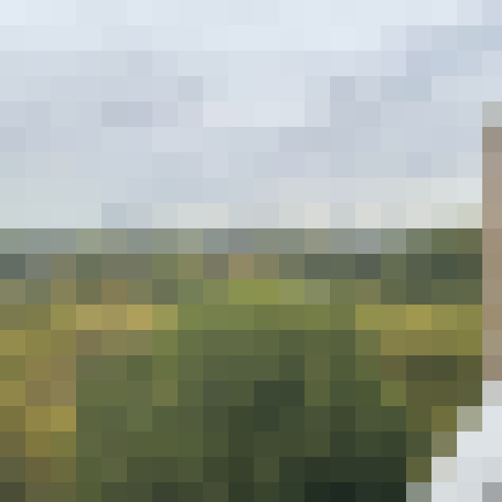 Image 36