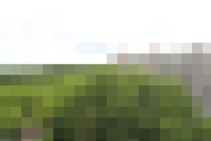Image 39