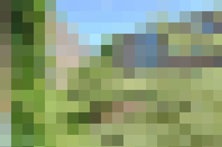  / #16